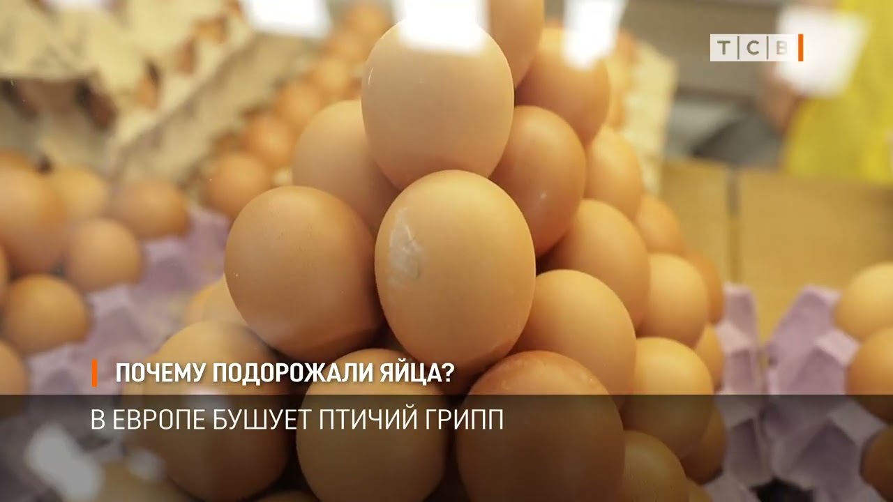 Почему подорожали яйца?