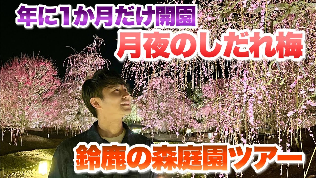 【ガーデンツアー】1年に1か月しか開園しない幻のガーデン！月夜としだれ梅の幻想的な世界をご堪能ください【鈴鹿の森庭園】