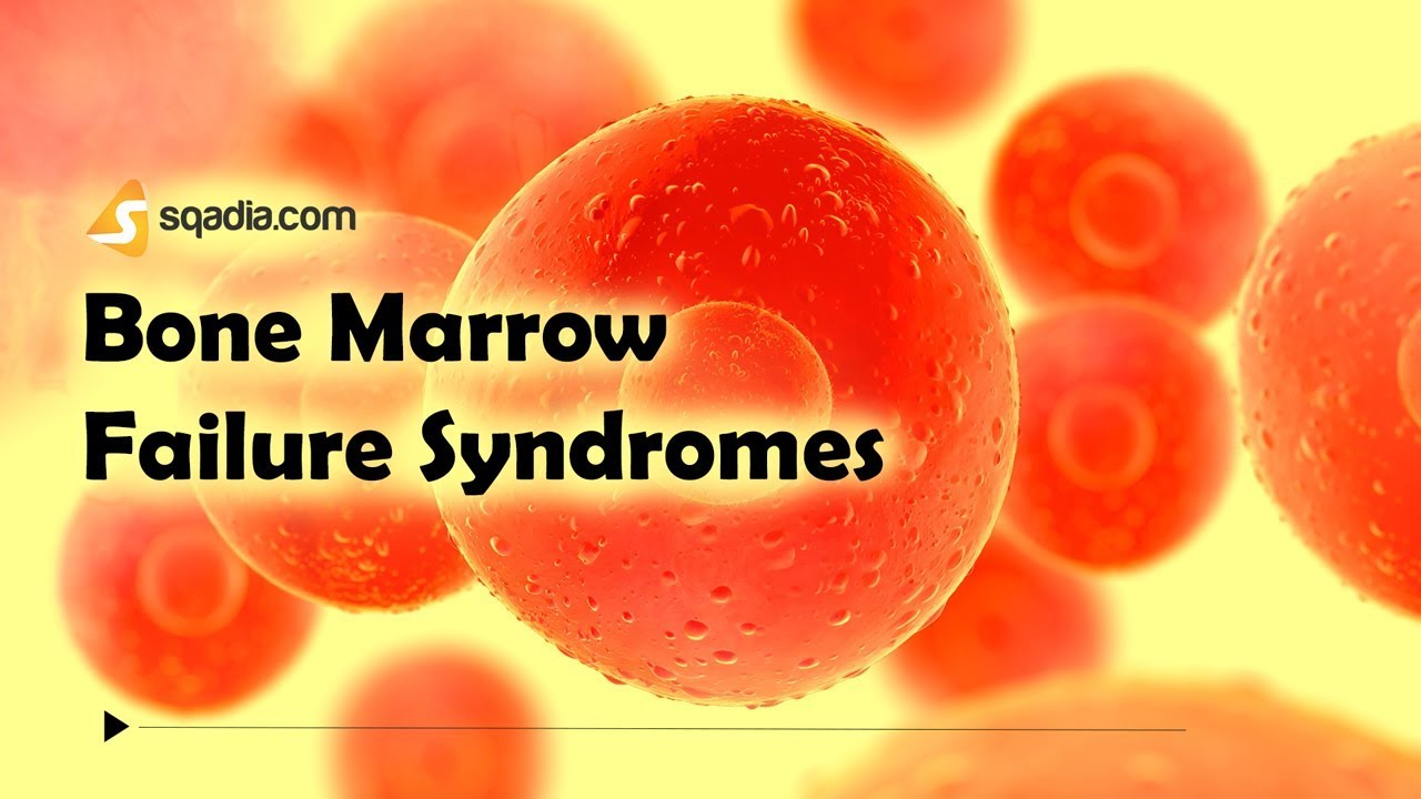 Bone Marrow Failure Syndromes -II | Hematology Animation | Medicine | V-Learning
