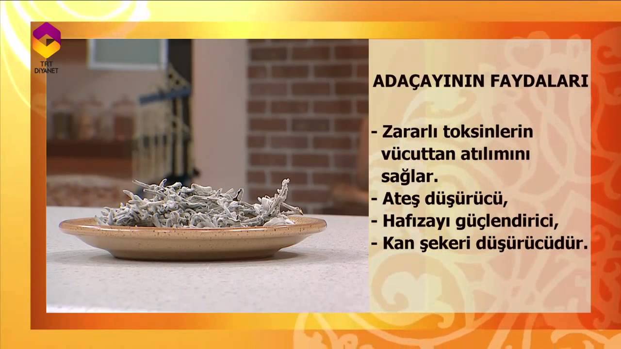 Tıbbi Bitkiler (Adaçayı) - DİYANET TV