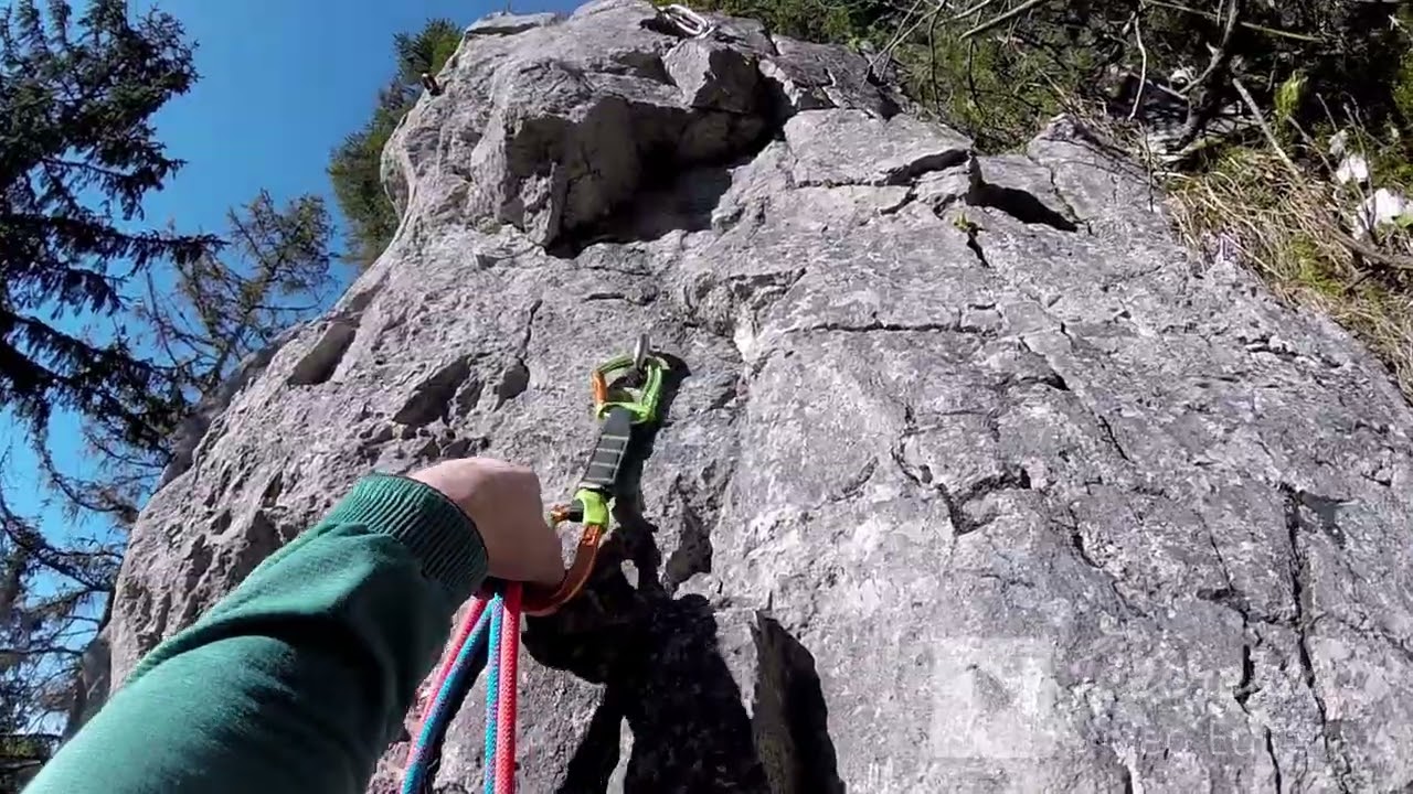 Jaroniec-Kwiat Dzikiej Róży IV+ Ropę Solo Revo