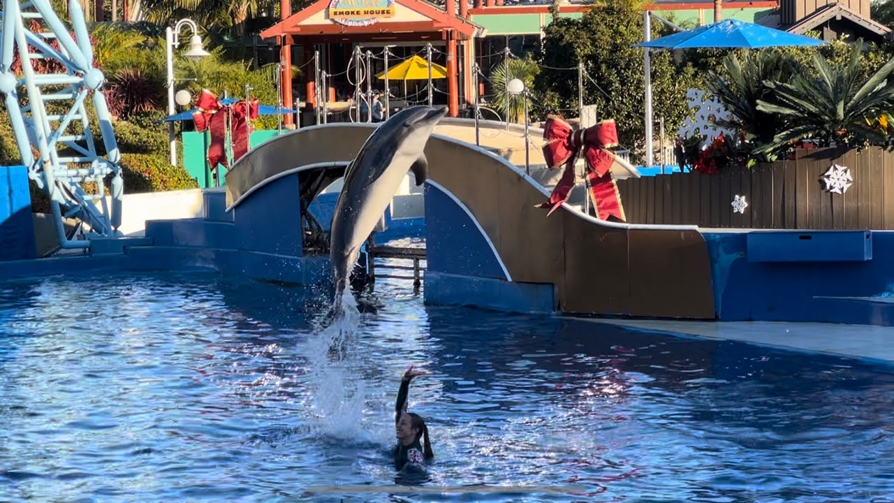 Dolphin Island Christmas (Full Show) at SeaWorld San Diego Nov. 26, 2022