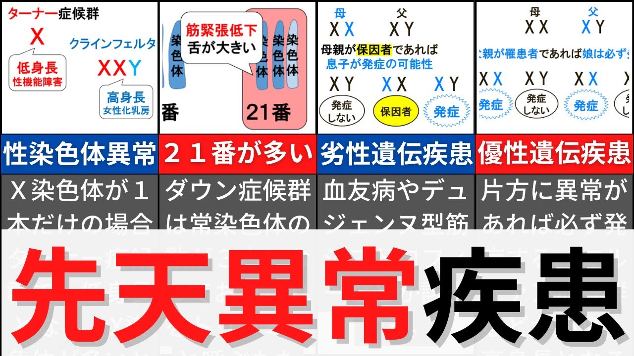 【16分で解説、13分で国試問題】先天異常について解説