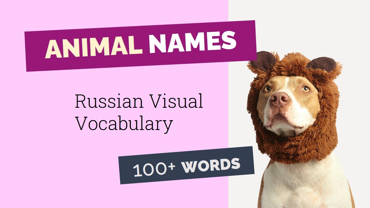 100+ Animal Names In Russian