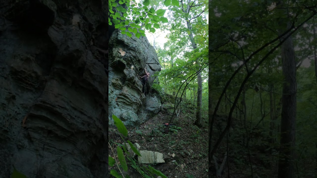 Sage Mountain - Hallucinatory Terrain