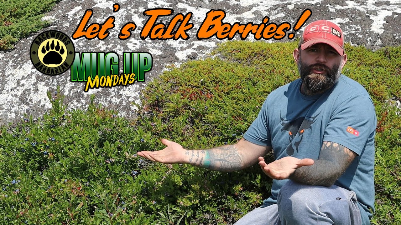 MuM: 4 Common Wild Edible Berries in Newfoundland!
