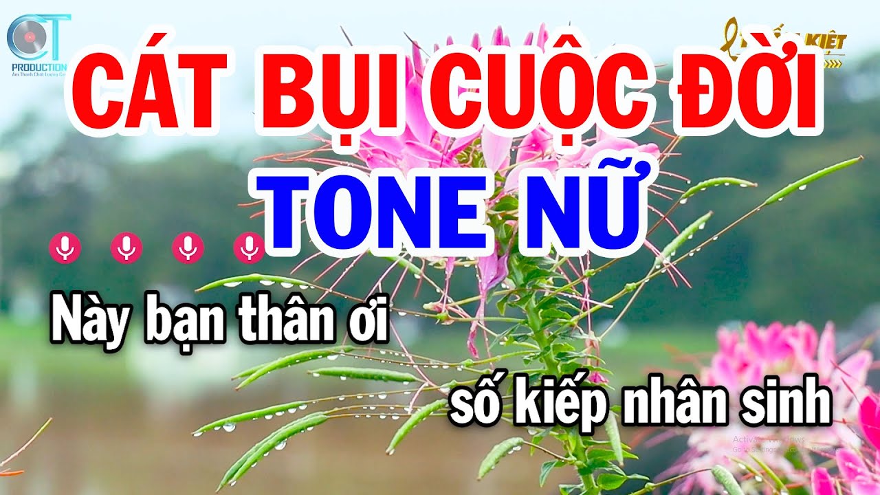 Karaoke Cát Bụi Cuộc Đời Tone Nữ Dm | Nhạc Trữ Tình Dễ Hát | Karaoke Tuấn Kiệt