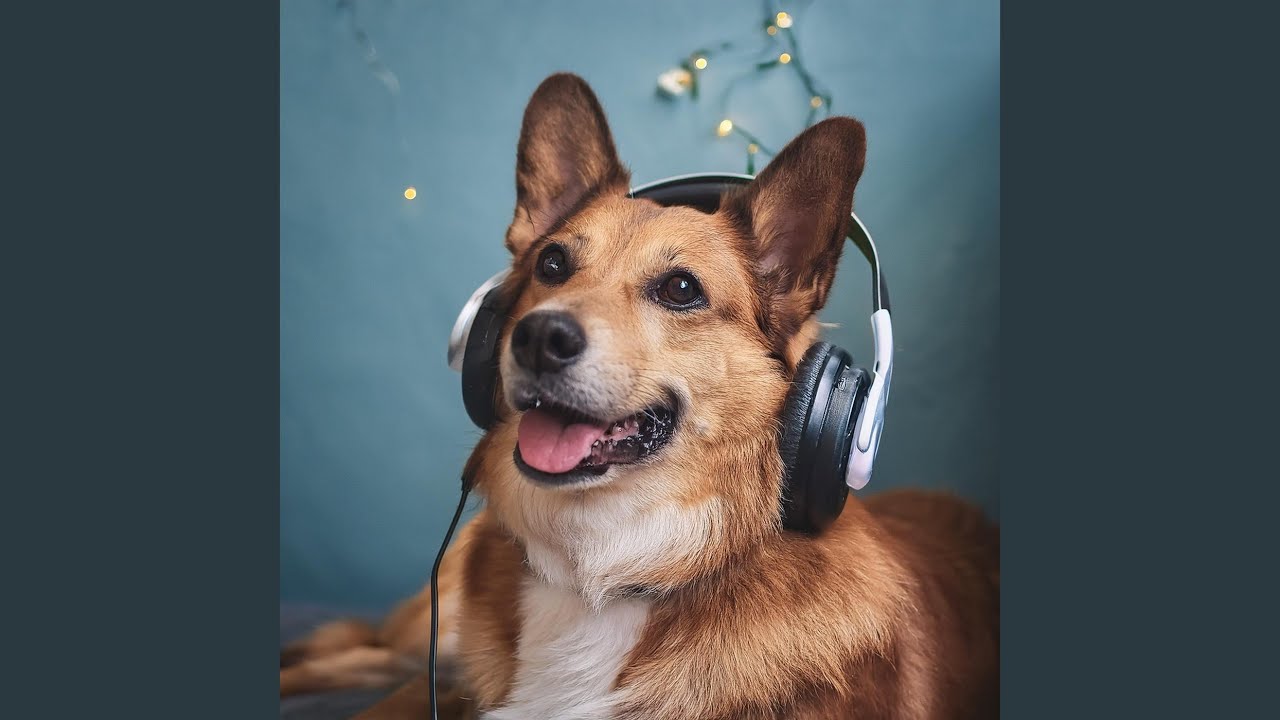Gentle Sounds for Dogs