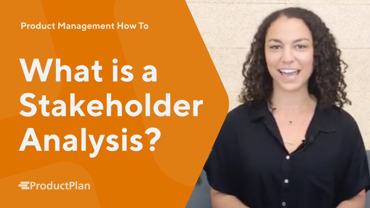 What is a Stakeholder Analysis? &mdash; Leading Successful Projects