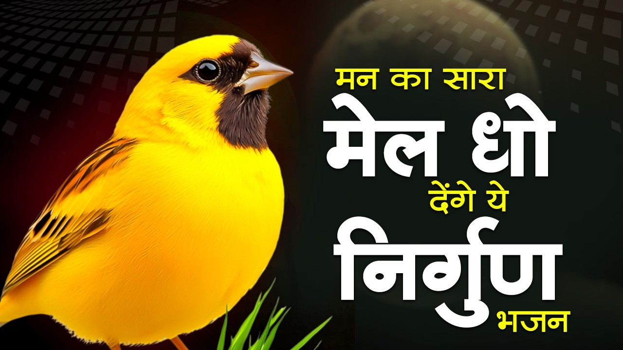 मन का सारा मेल धो देंगे ये निर्गुण भजन | Latest Nirgun Bhajan | Nonstop Nirgun Bhajan 2026