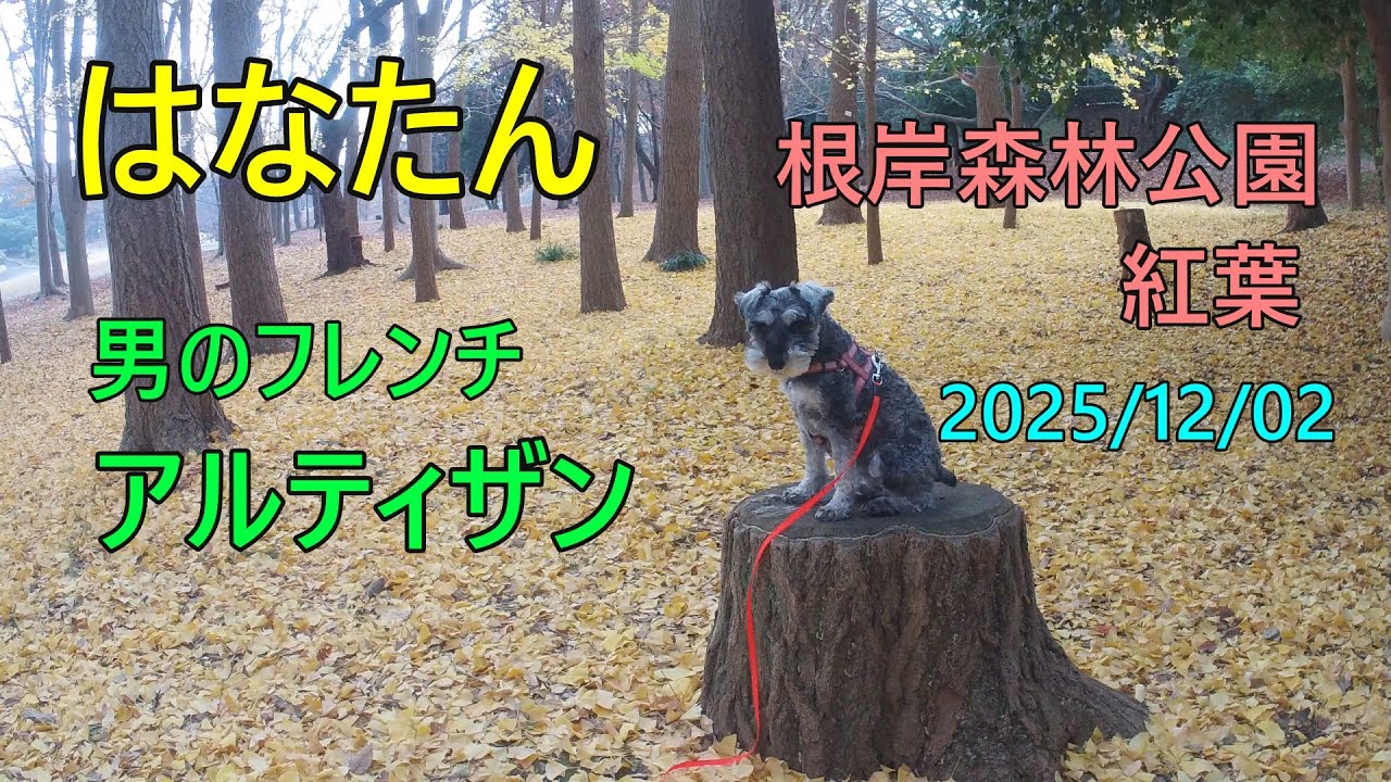 横浜 森林公園とアルティザン(フレンチ)