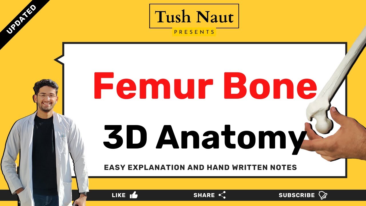 Femur Bone - Complete Anatomy - Easy handwritten notes