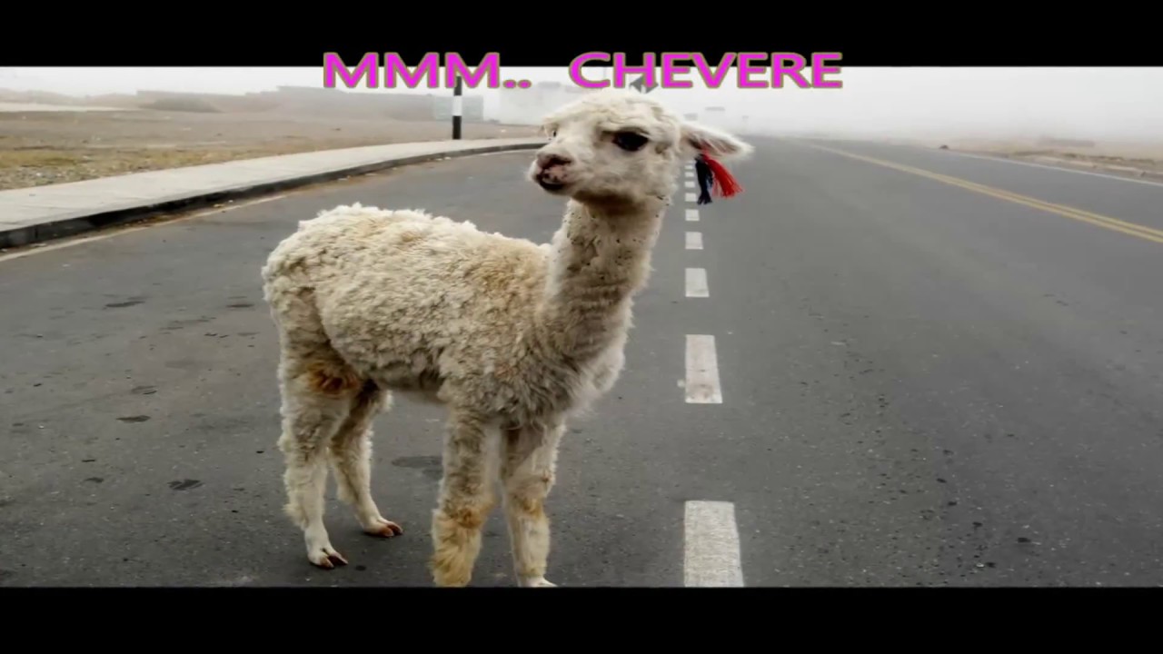 TARMA, LA MERCED en moto.