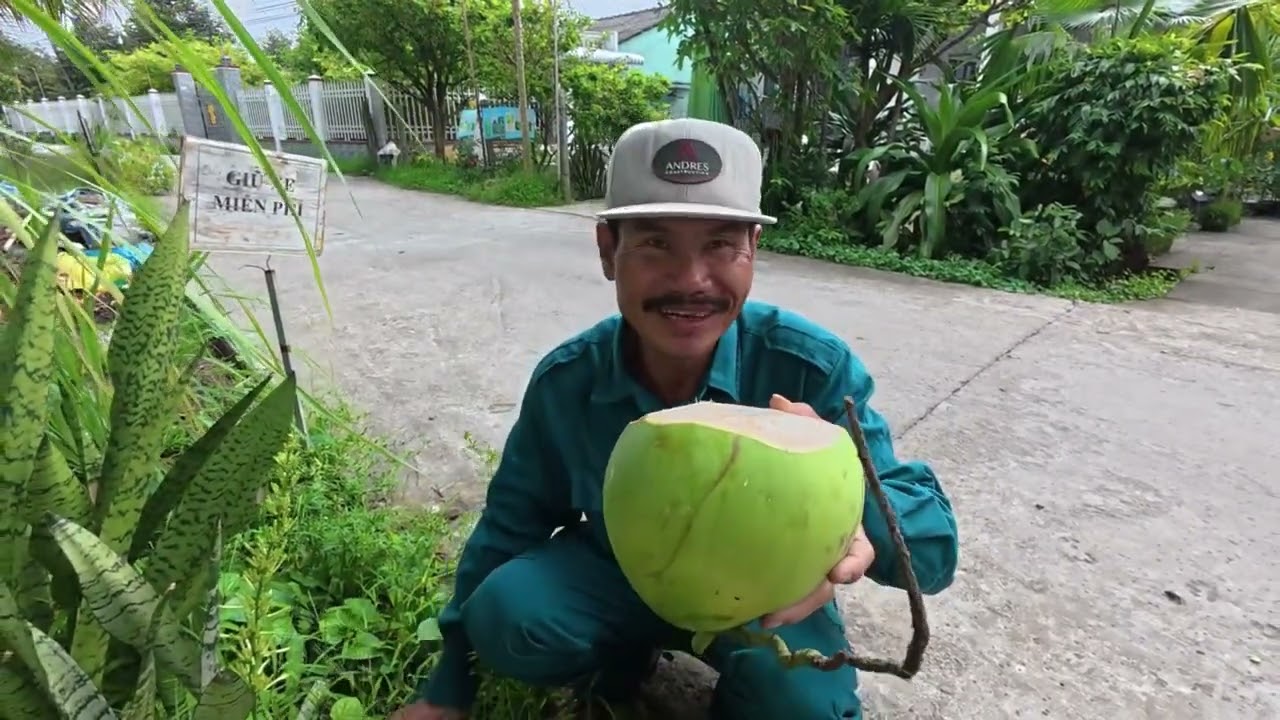 Hôm qua dừa hư uống không được, tức quá hôm nay đốn cây khác