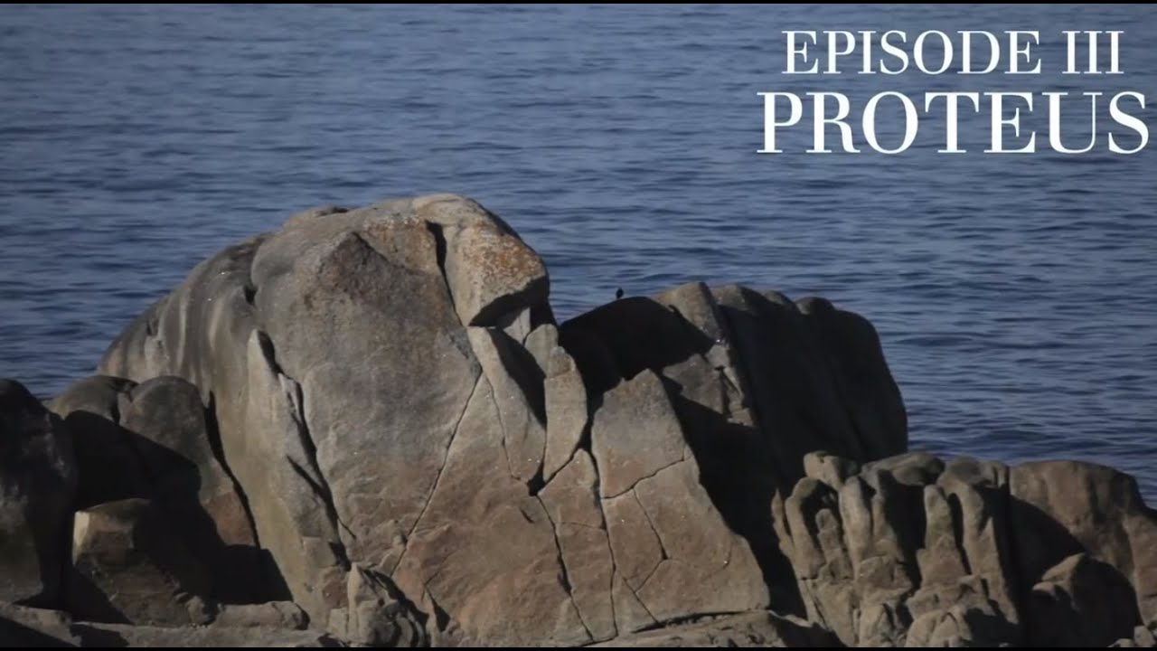 Episode III PROTEUS -- Presented by David Norris