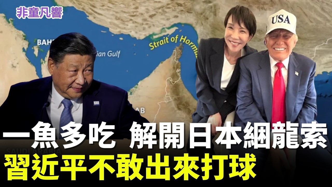 高市早苗莫失良機！日本掃雷能力全球數一數二，護航荷姆茲海峽義無反顧。雖有憲法限制但也有安保法制鬆綁。319的川高會，川普正式開口，日本升級打怪。｜2026.3.17【非童凡響】