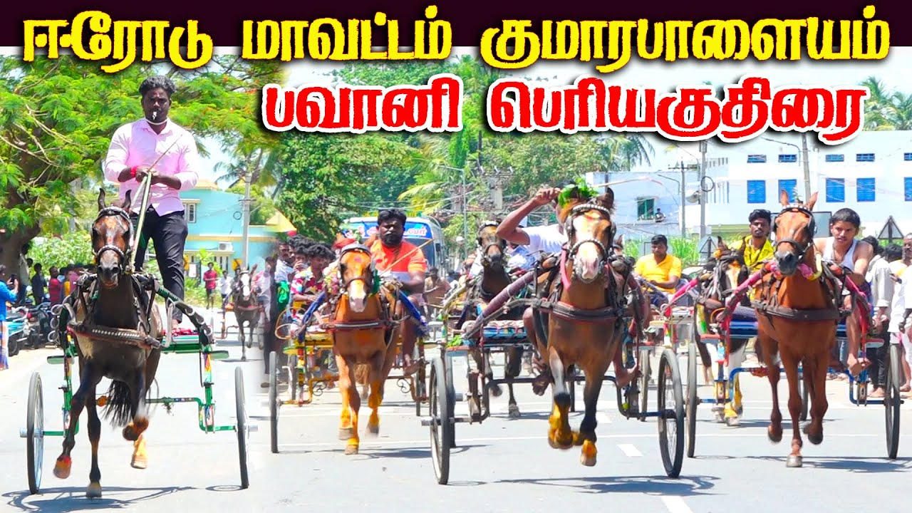 ஈரோடு(மா) பவானி பெரியகுதிரை பந்தயம் 07.09.2025