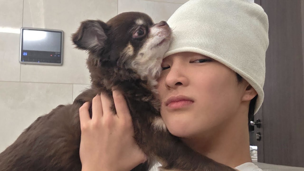 안건호랑 장거리연애