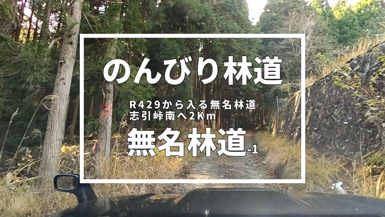 【林道】R429・志引峠近くの無名林道を静かに走る｜兵庫県側へ2km地点の林道記録