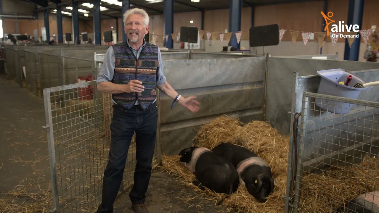 A guided tour   Animals and cider at the Bath and West with Ken