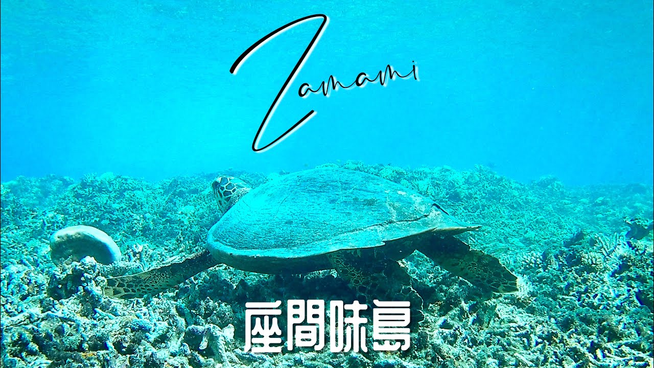 座間味島【沖縄ダイビング】無言Vlog iPhone撮影