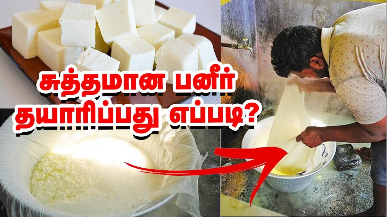 சுத்தமான பனீர் தயாரிப்பது எப்படி? How to Make  Pure Paneer!