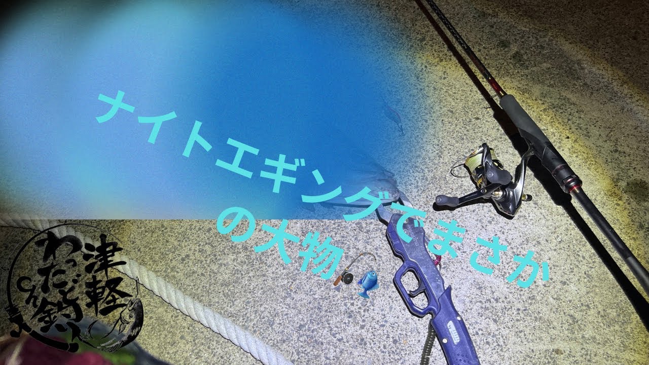 苦手なナイトエギングで釣ったイカその場で捌いて丼作ろうとしたらまさかのアイツ出現で歓喜🎣🦑