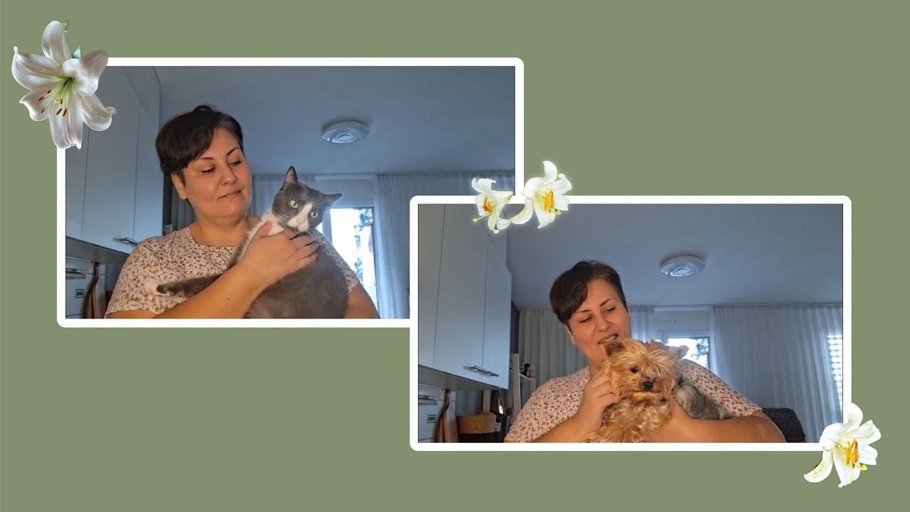 RUČAK GRAH I HLJEB+UPOZNAVANJE MOJIH KUCNIH LJUBIMACA