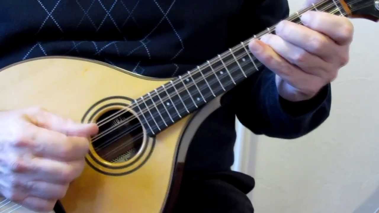 Coilsfield House - Guitar & Mandolin