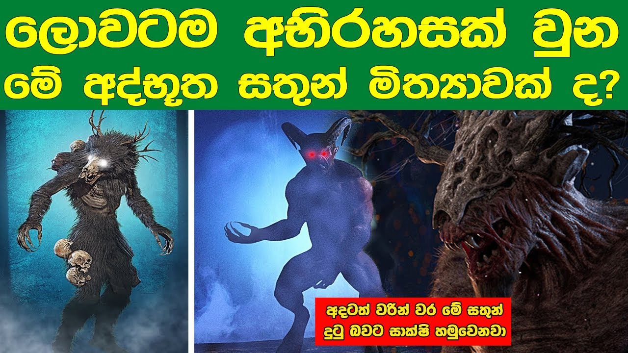 ලොවේම ප්‍රසිද්ධ මේ අද්භූත මිත්‍යා සතුන් අදටත් ඇත්තටම ඉන්නවාද | Mythical Beasts That Don't Exist