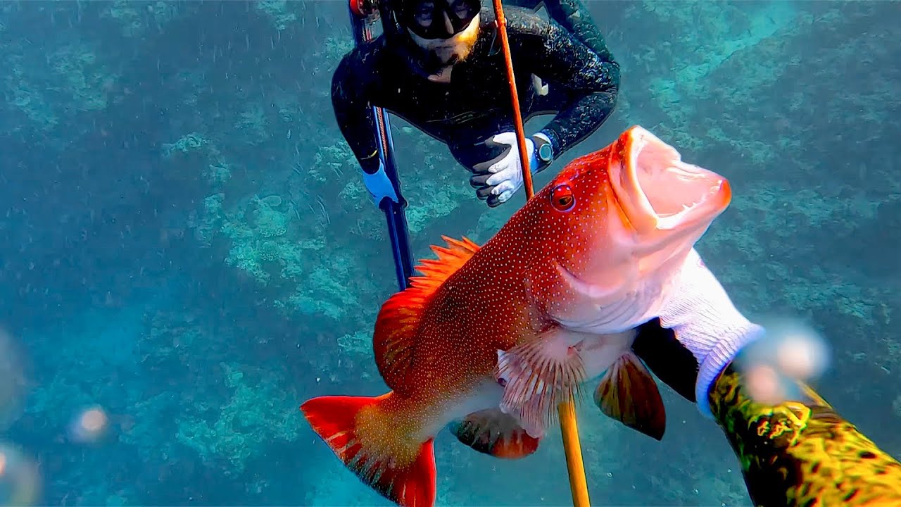THE POLESPEAR BUILD. Cheapest form of spearfishing. HOW TO, DIY BAMBOO POLE SPEAR.(Catch and clean.)