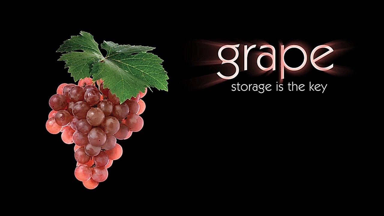 STORAGE IS THE KEY - GRAPE