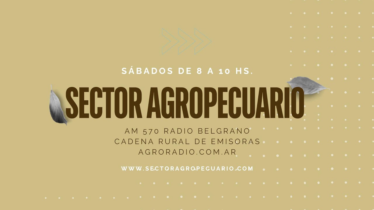 Sector Agropecuario