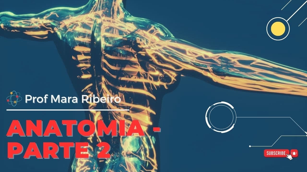 Anatomia - Parte 2 - Músculos para Concursos