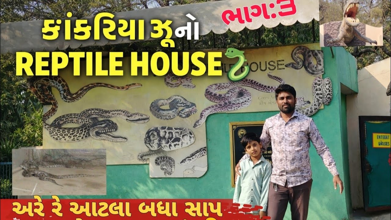 #અમદાવાદ કાંકરીયા ઝુ  મા વિશાળ અજગર બહાર નીકળી ગયો//કાંકરીયા ઝુ Reptile house/zoo snack house ભાગ 3 