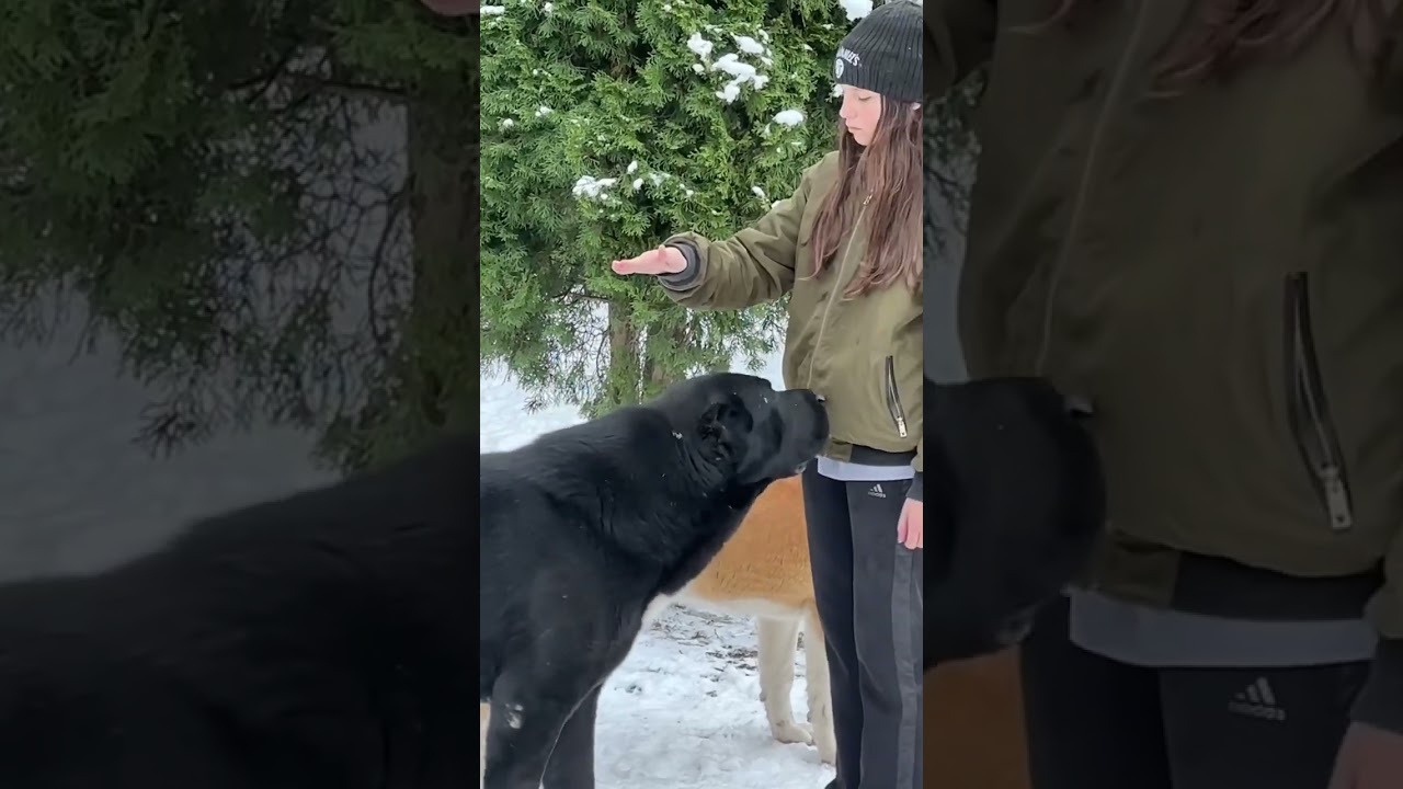 СТАТУС АЛАБАЯ И ЧЕЛОВЕКА