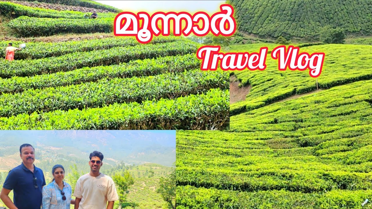 മൂന്നാർ യാത്രയിലെ ചില മനോഹര ദൃശ്യങ്ങൾ || Munnar Travel Vlog #travelvlog #vlog