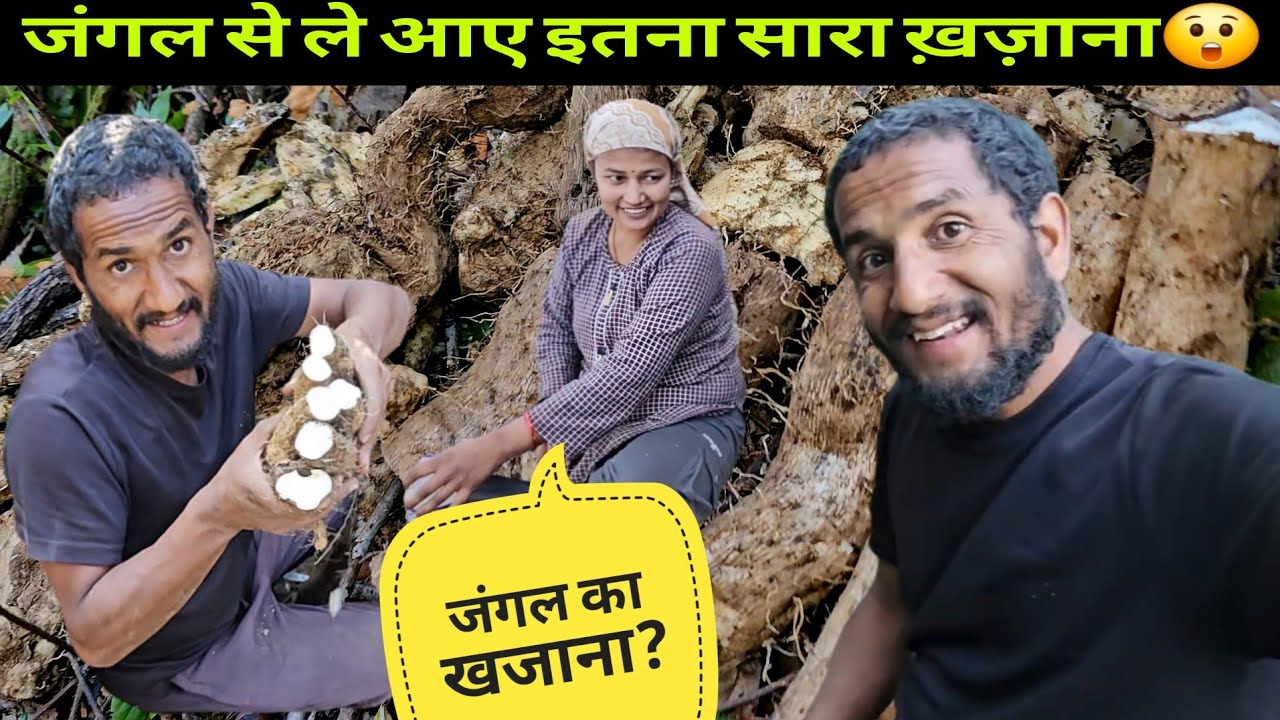 जंगल का खजाना || निकालना इतना आसान नहीं😭बहुत मेहनत के बाद लाए इतने सारे😲by. @yashpahadiofficial🔥 