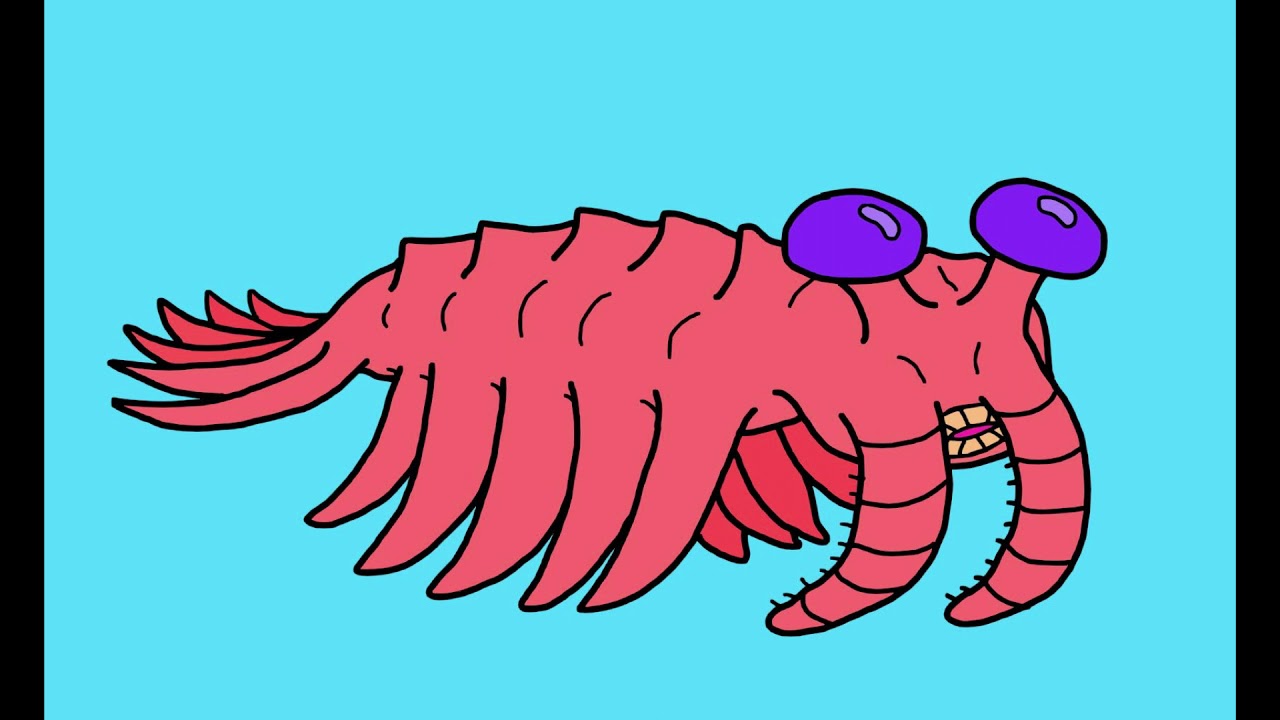 Anomalocaris (a tune 4 your ears)