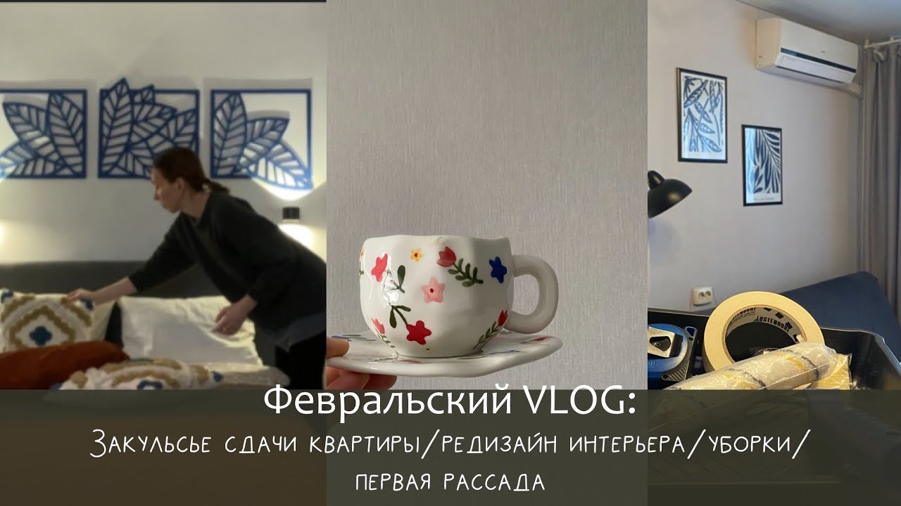Интересный февраль: такие разные гости🥹, редизайн квартиры посуточно, первая рассада, быт, находки