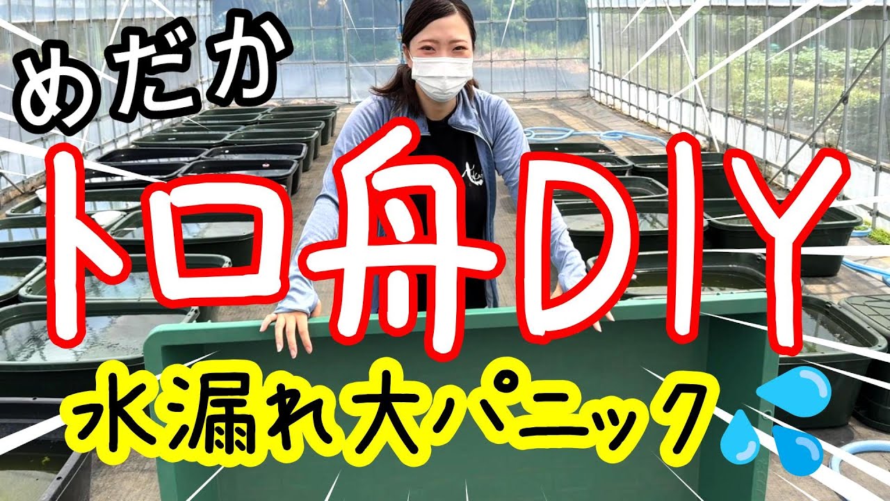 巨大トロ舟でメダカの洗い場！トラブル連発DIY！