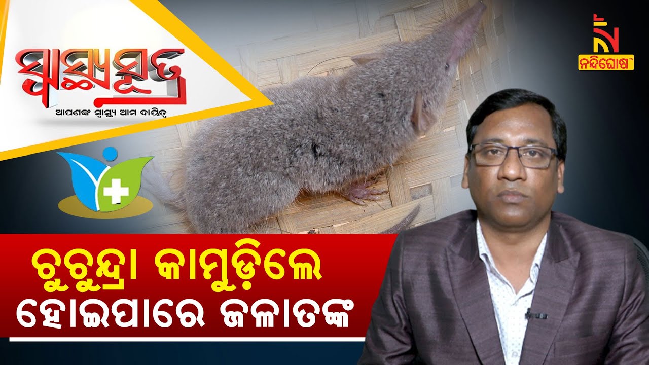 SWASTHYA SUTRA | ଚୁଚୁନ୍ଦ୍ରା କାମୁଡ଼ିଲେ ହୋଇପାରେ ଜଳାତଙ୍କ | NandighoshaTV