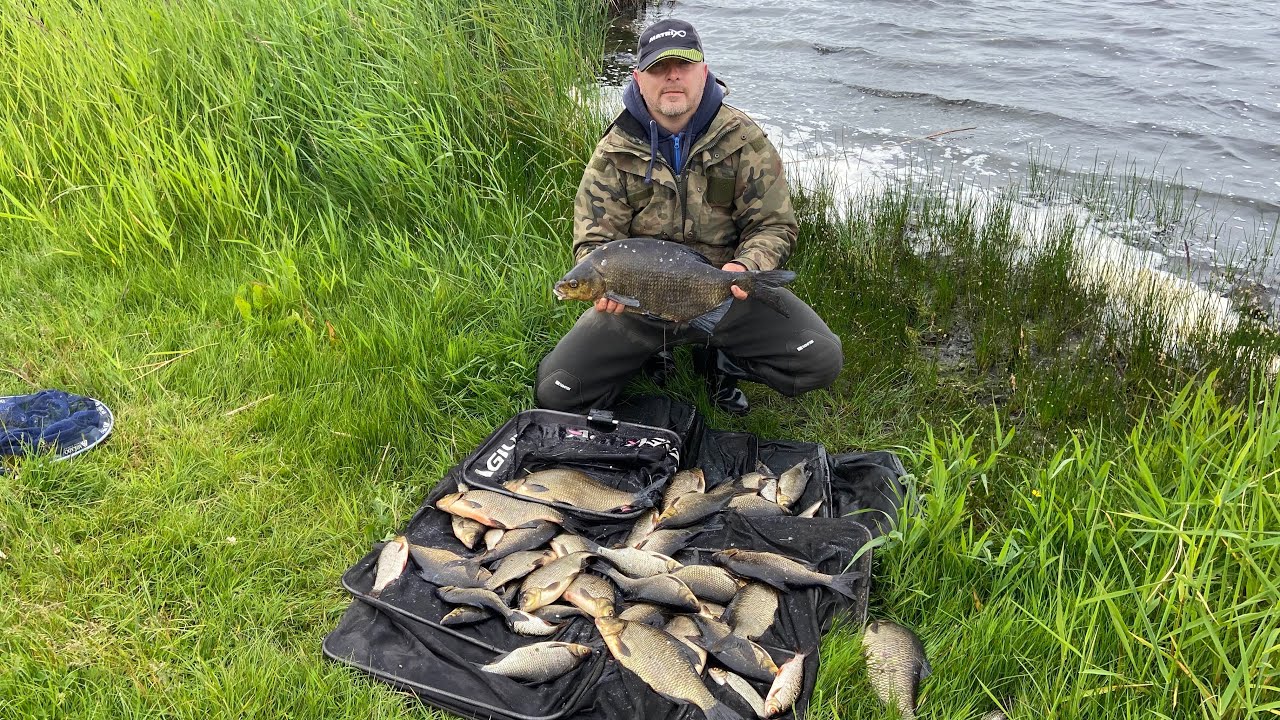 Feeder fishing for hybrids and skimmers / fishing in Ireland
