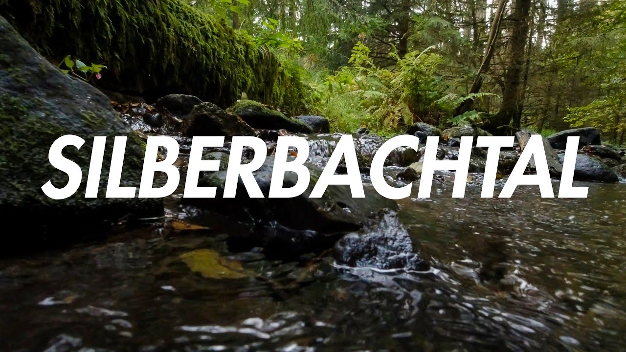 Wandern im Teutoburger Wald | Das Silberbachtal