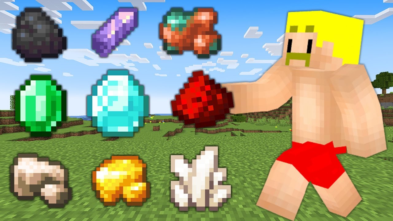 【マイクラ】かぶるの禁止！同じ種類のアイテム9種類集めて早抜け対決！