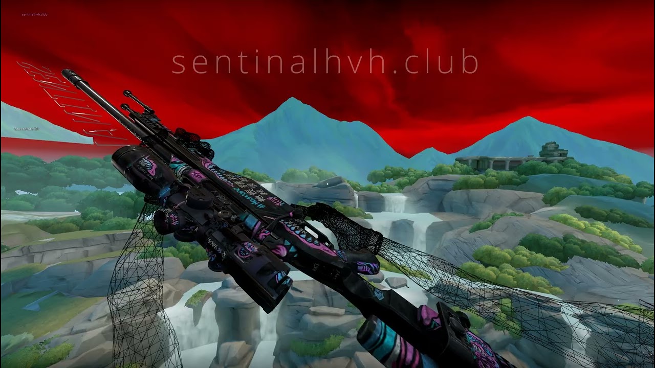 CS2 Skins on Valorant (ft. Sentinal)