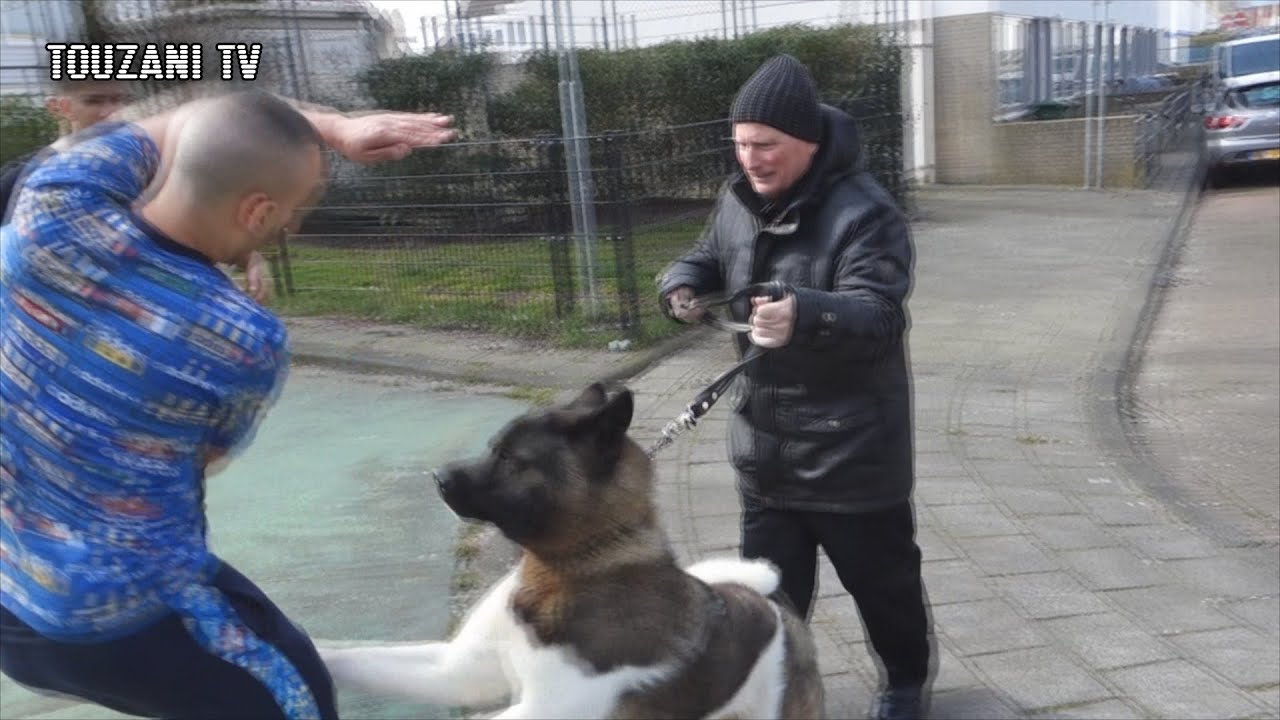 Rappen met Emms - Darri & Bel Hassani bang voor honden! VOETBAL VLOG #9 (TOUZANI TV)