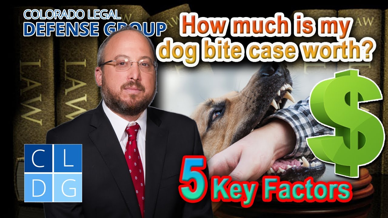 How Much Is My Dog Bite Lawsuit Worth? 5 Key Factors