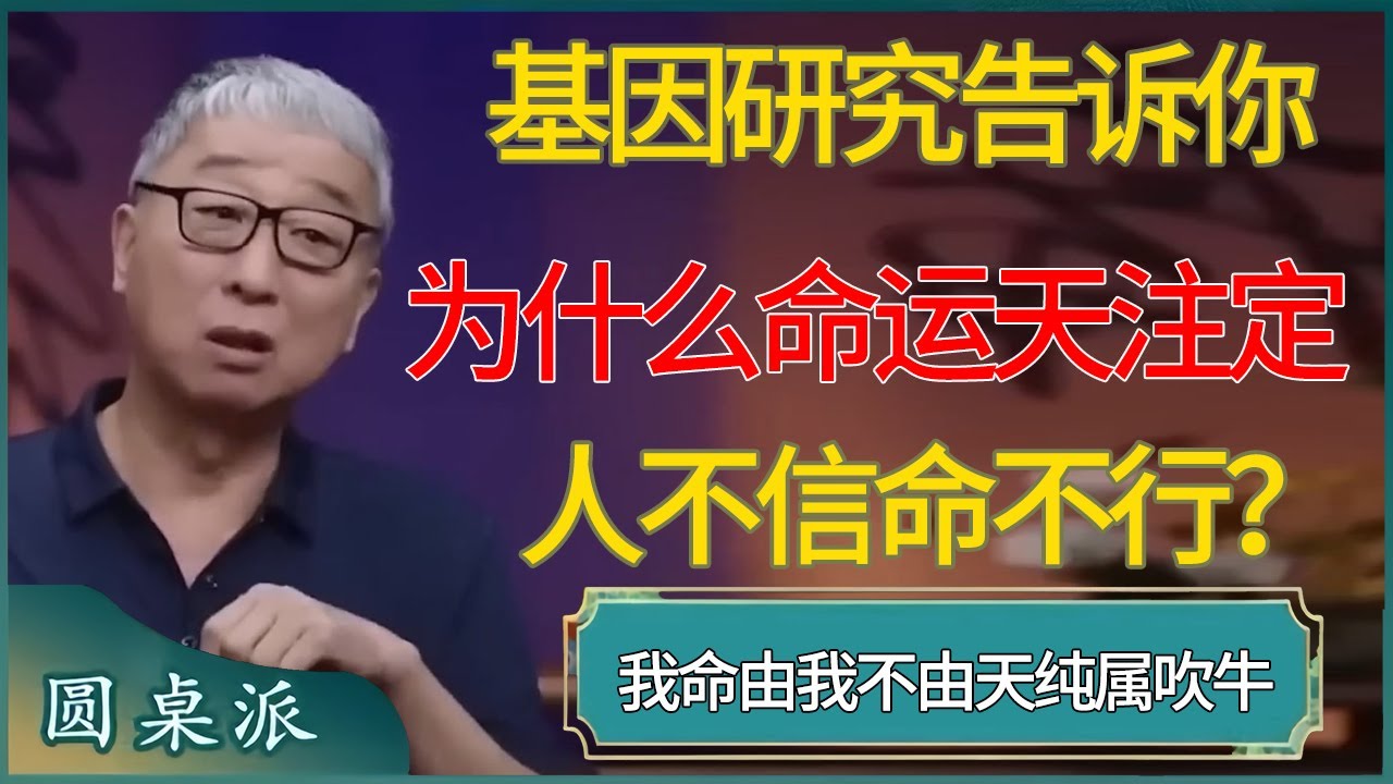 基因研究告诉你：为什么说命运天注定！人不信命不行！#马未都 #对白 #白岩松 #金灿荣 #圆桌派