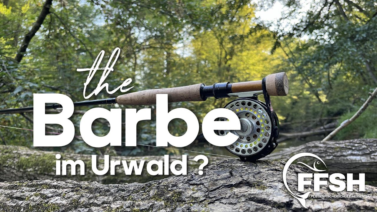 BARBE IM URWALD ??? / Ein Fliegenfischerabenteuer im unzugänglichen Auenwald #fliegenfischen